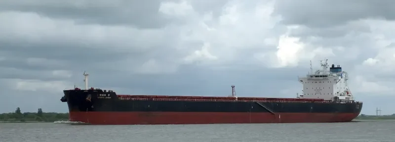 GENEVA QUEEN Bulk Carrier IMO 9638642 photo 5
