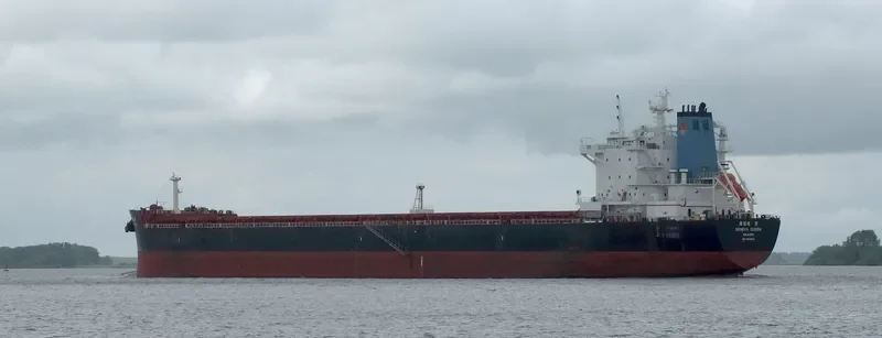 GENEVA QUEEN Bulk Carrier IMO 9638642 photo 6