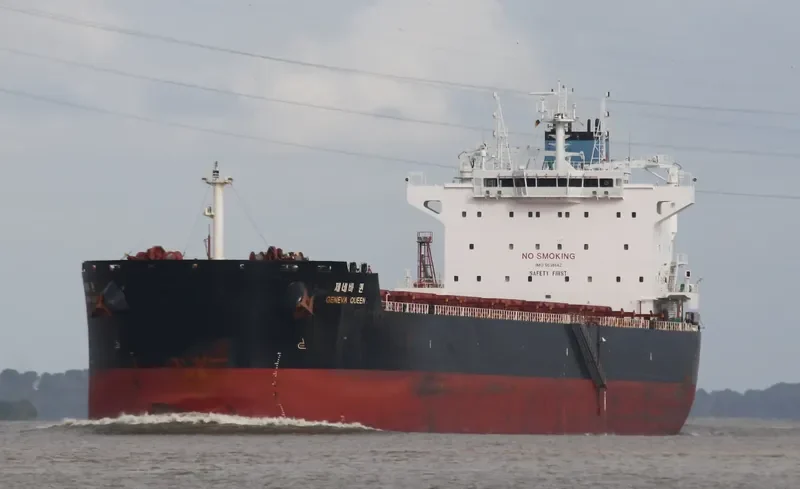 GENEVA QUEEN Bulk Carrier IMO 9638642 photo 8