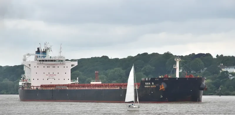 GENEVA QUEEN Bulk Carrier IMO 9638642 photo 10