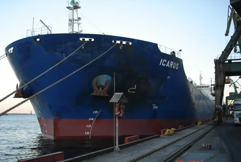ICARUS Bulk Carrier IMO 9638678 photo 7