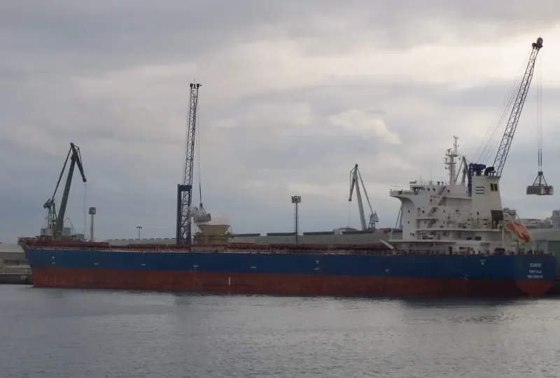 ICARUS Bulk Carrier IMO 9638678 photo 8