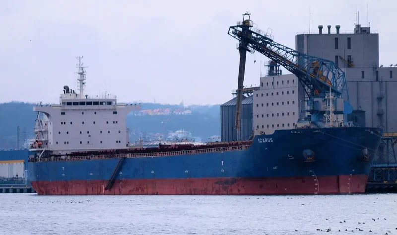 ICARUS Bulk Carrier IMO 9638678 photo 9
