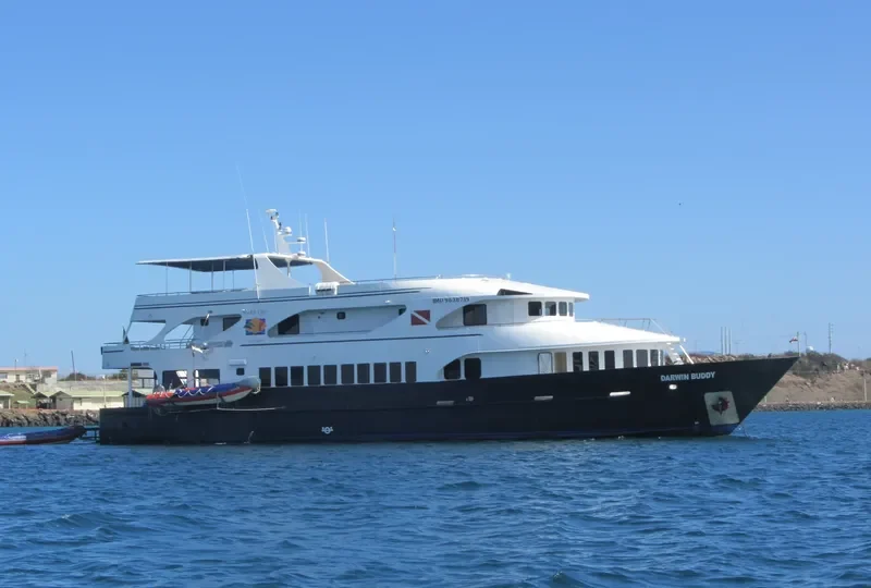 DARWIN BUDDY Passenger Ship IMO 9638719