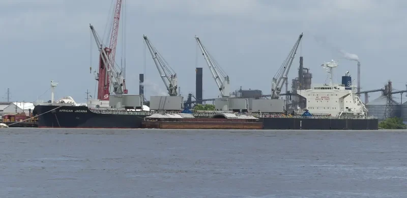 AFRICAN JACANA Bulk Carrier IMO 9638824