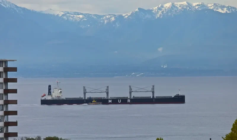AFRICAN JACANA Bulk Carrier IMO 9638824 photo 2
