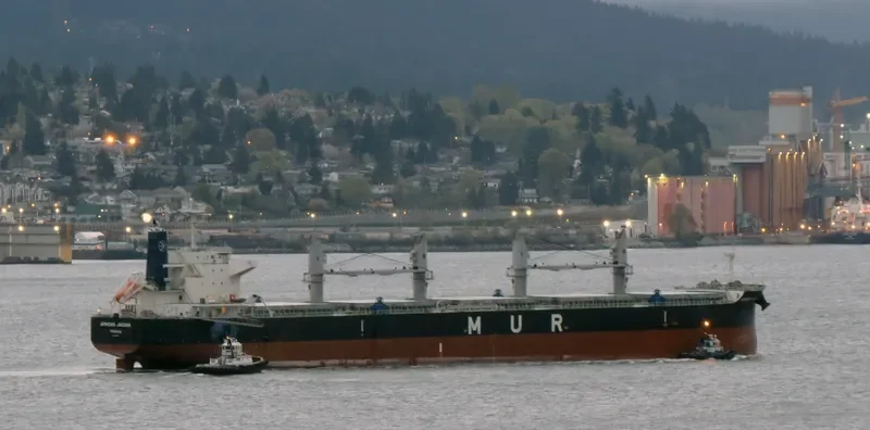 AFRICAN JACANA Bulk Carrier IMO 9638824 photo 3
