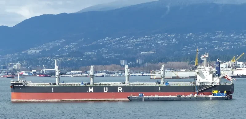 AFRICAN JACANA Bulk Carrier IMO 9638824 photo 4