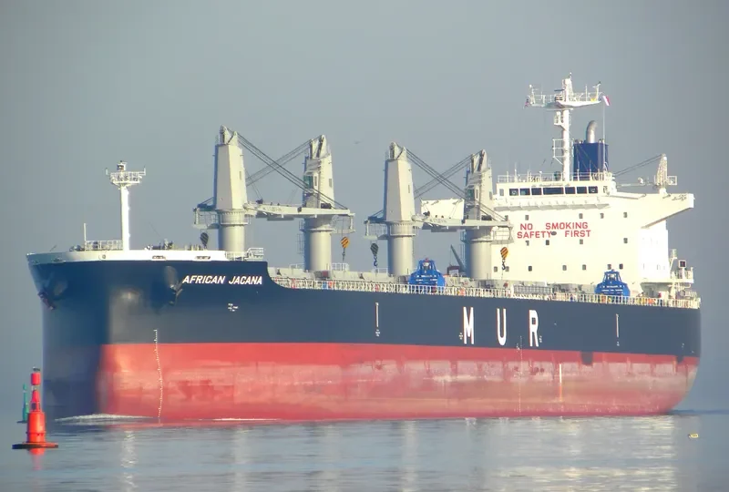 AFRICAN JACANA Bulk Carrier IMO 9638824 photo 5