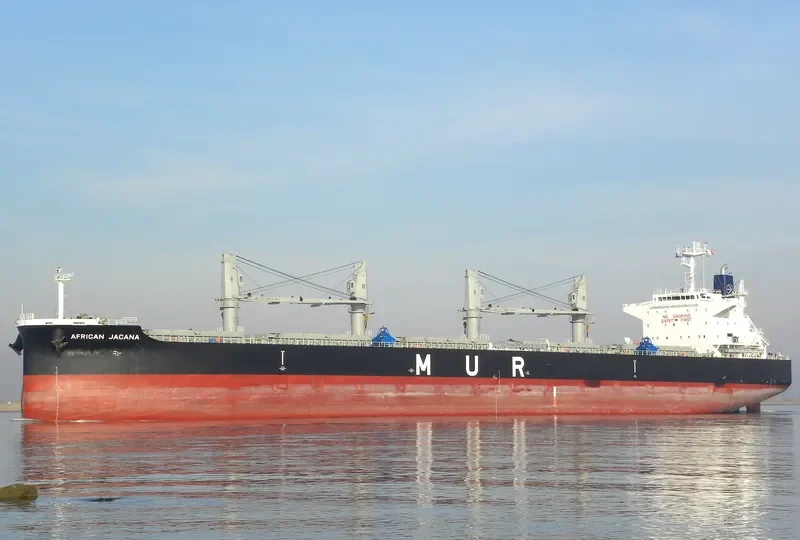 AFRICAN JACANA Bulk Carrier IMO 9638824 photo 6