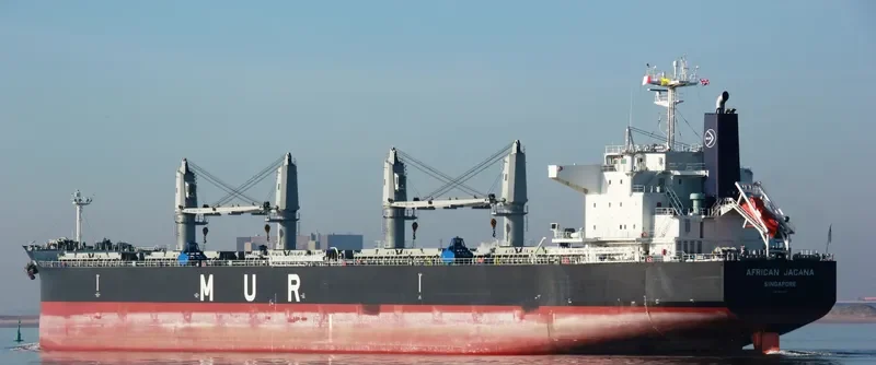 AFRICAN JACANA Bulk Carrier IMO 9638824 photo 7
