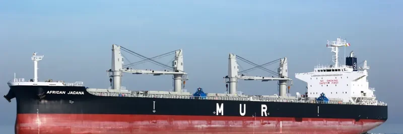 AFRICAN JACANA Bulk Carrier IMO 9638824 photo 8