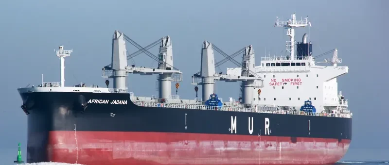 AFRICAN JACANA Bulk Carrier IMO 9638824 photo 9