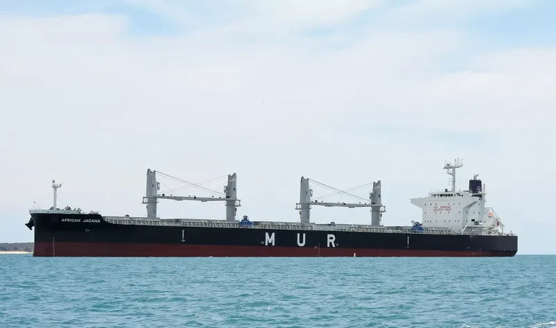 AFRICAN JACANA Bulk Carrier IMO 9638824 photo 10