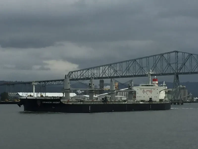 CRIMSON KNIGHT Bulk Carrier IMO 9638836 photo 2
