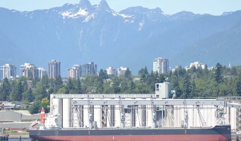CRIMSON KNIGHT Bulk Carrier IMO 9638836 photo 3