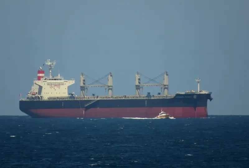 CRIMSON KNIGHT Bulk Carrier IMO 9638836 photo 4