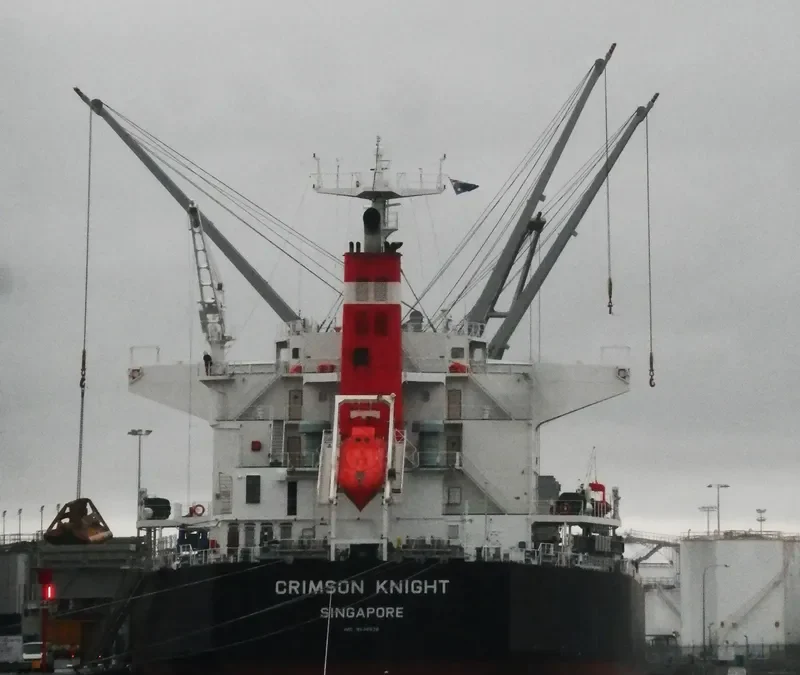 CRIMSON KNIGHT Bulk Carrier IMO 9638836 photo 9