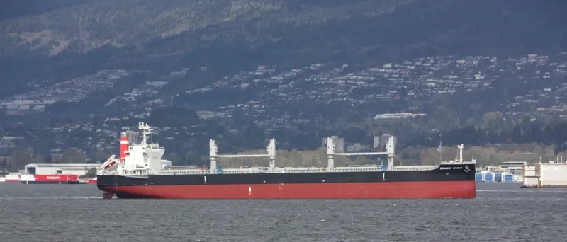 CRIMSON KNIGHT Bulk Carrier IMO 9638836 photo 10