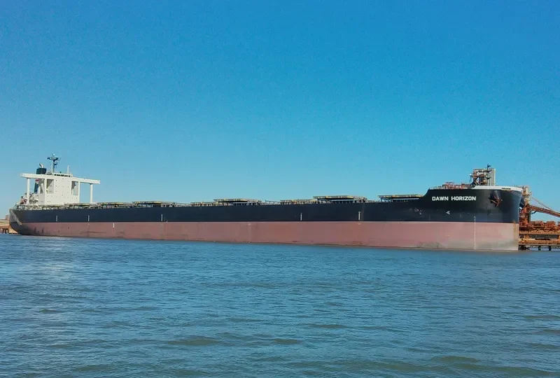 DAWN HORIZON Bulk Carrier IMO 9638850 photo 3