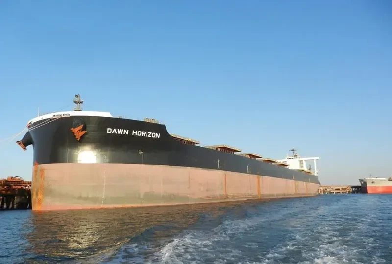 DAWN HORIZON Bulk Carrier IMO 9638850 photo 5