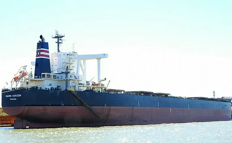 DAWN HORIZON Bulk Carrier IMO 9638850 photo 6