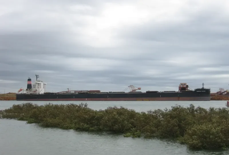 EMERALD HORIZON Bulk Carrier IMO 9638862