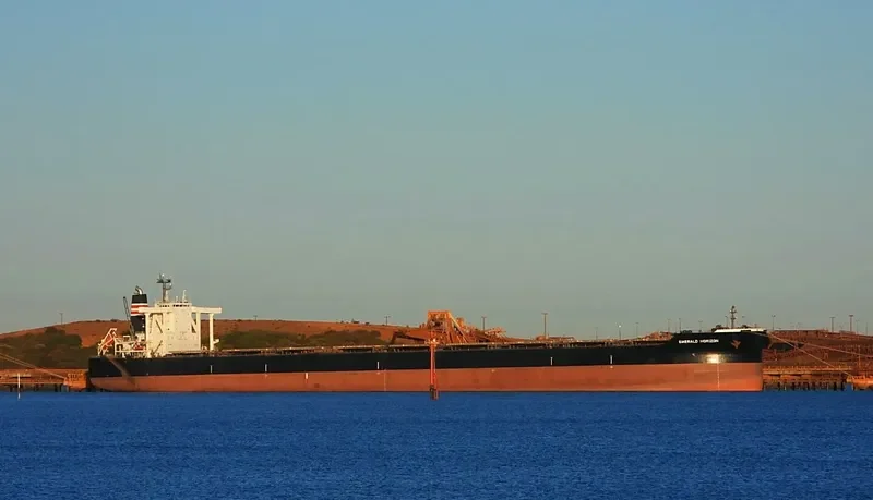 EMERALD HORIZON Bulk Carrier IMO 9638862 photo 3