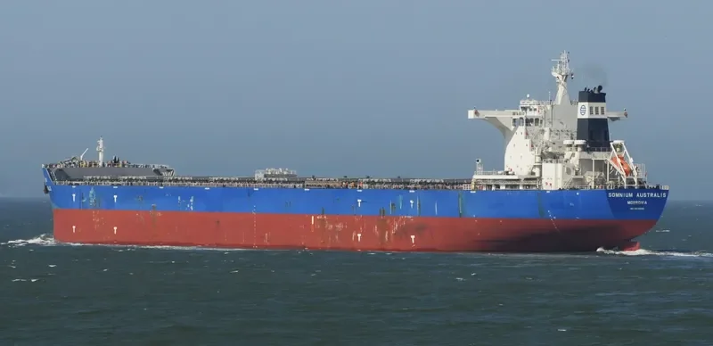 SOMNIUM AUSTRALIS Bulk Carrier IMO 9638886 photo 3