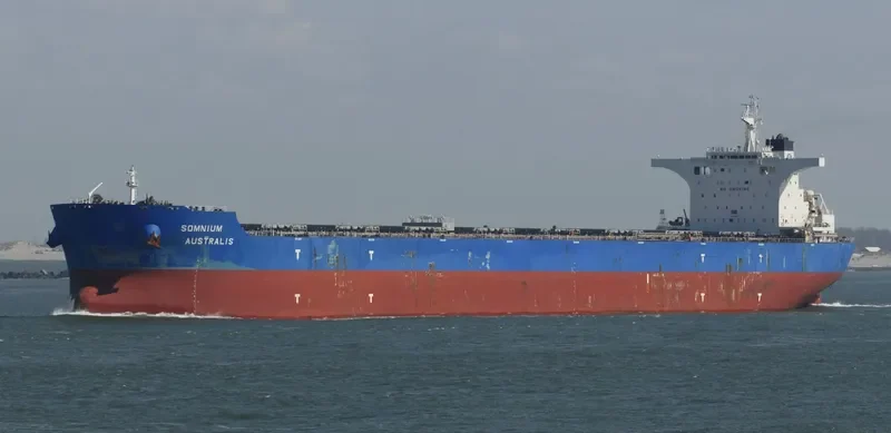 SOMNIUM AUSTRALIS Bulk Carrier IMO 9638886 photo 4