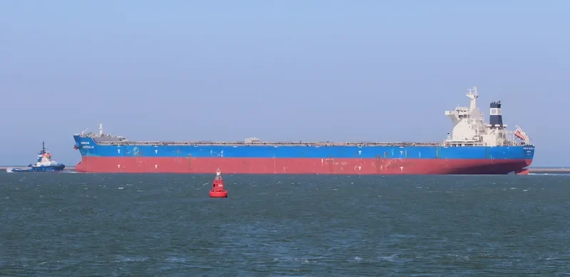 SOMNIUM AUSTRALIS Bulk Carrier IMO 9638886 photo 7