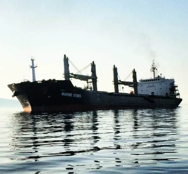 CHANG MING Bulk Carrier IMO 9638953 photo 6