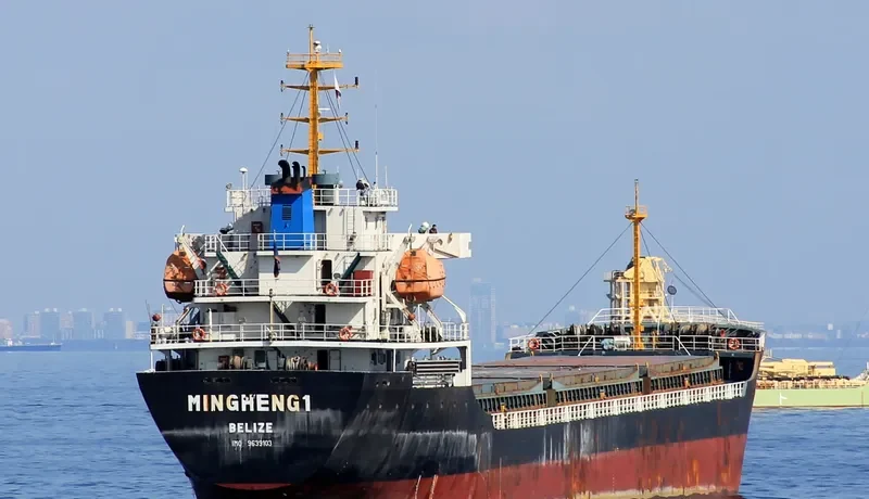 MING HENG 1 General Cargo IMO 9639103 photo 2