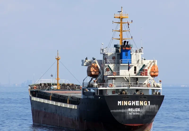 MING HENG 1 General Cargo IMO 9639103 photo 3