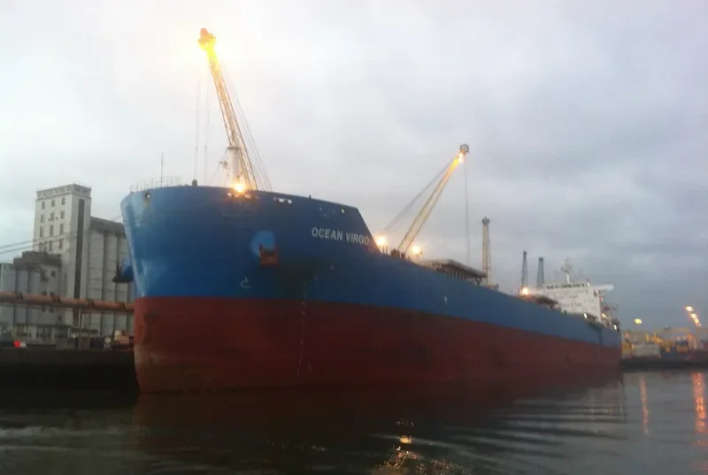 CL GRACE Bulk Carrier IMO 9639555