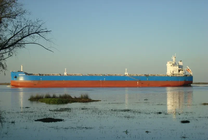 CL GRACE Bulk Carrier IMO 9639555 photo 4