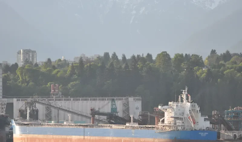 CL GRACE Bulk Carrier IMO 9639555 photo 5
