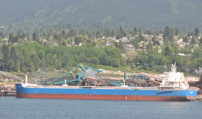 CL GRACE Bulk Carrier IMO 9639555 photo 6