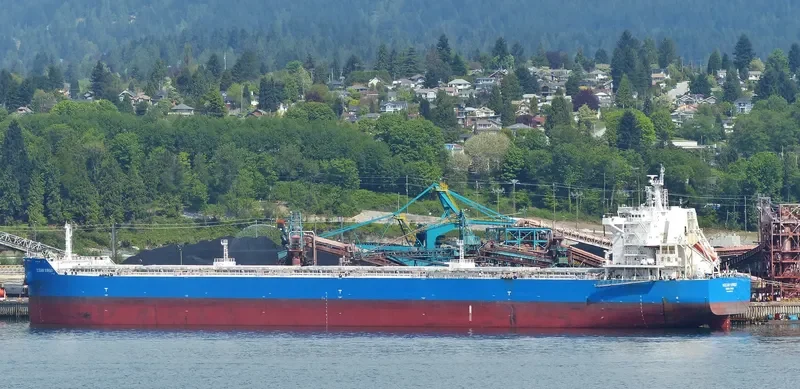 CL GRACE Bulk Carrier IMO 9639555 photo 7