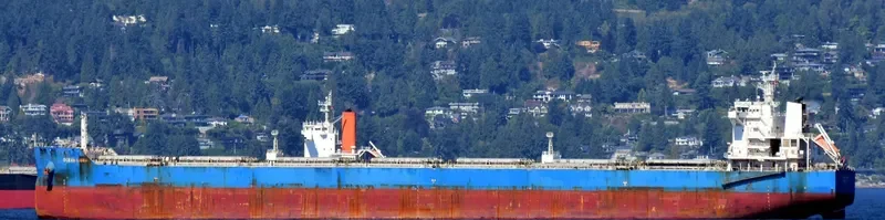 CL MONA Bulk Carrier IMO 9639567