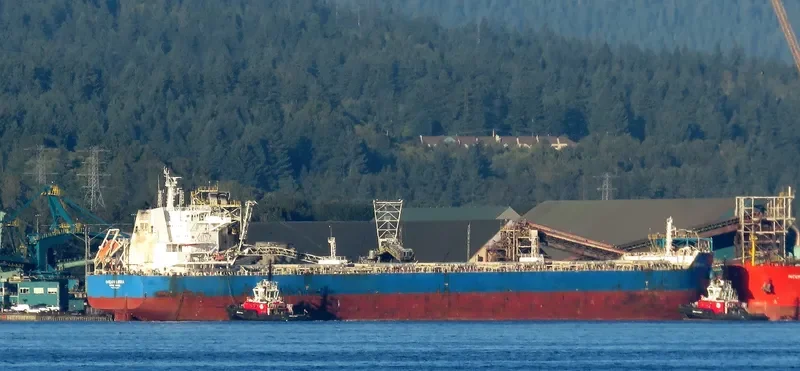 CL MONA Bulk Carrier IMO 9639567 photo 2