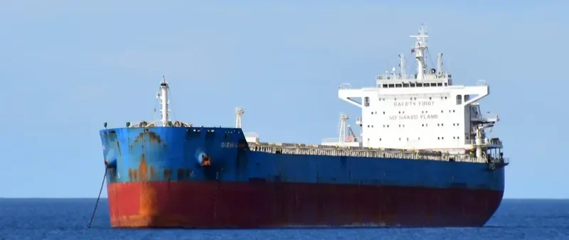 CL MONA Bulk Carrier IMO 9639567 photo 5