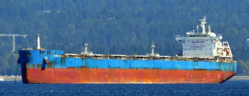 CL MONA Bulk Carrier IMO 9639567 photo 6