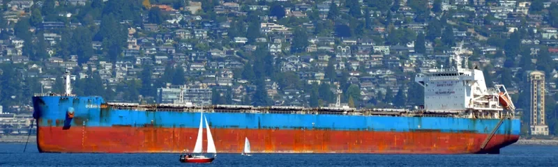 CL MONA Bulk Carrier IMO 9639567 photo 7