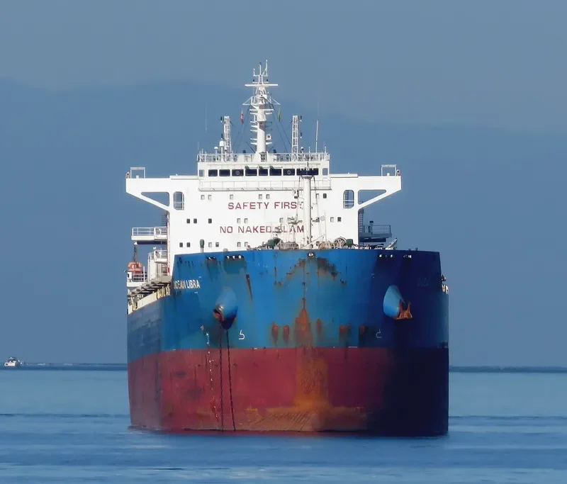 CL MONA Bulk Carrier IMO 9639567 photo 8