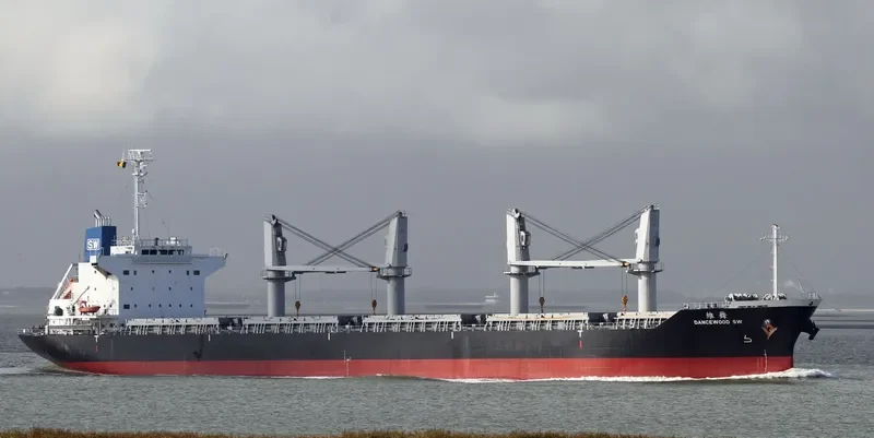 DANCEWOOD SW Bulk Carrier IMO 9639672