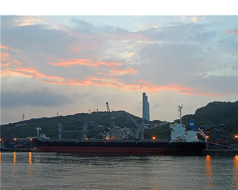 DANCEWOOD SW Bulk Carrier IMO 9639672 photo 2