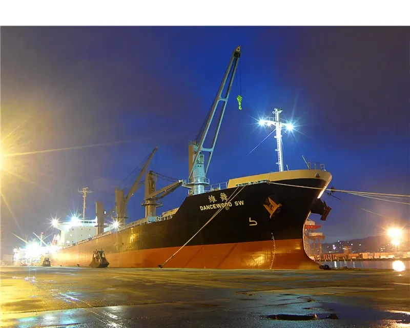 DANCEWOOD SW Bulk Carrier IMO 9639672 photo 3