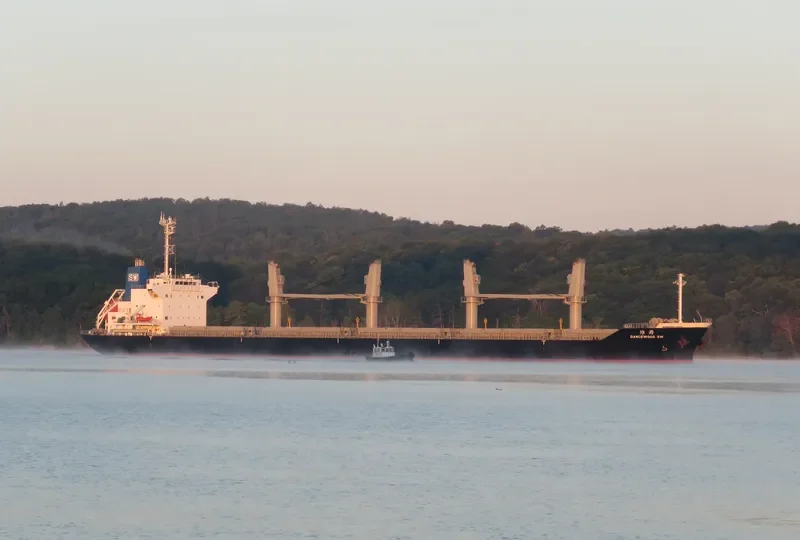 DANCEWOOD SW Bulk Carrier IMO 9639672 photo 4