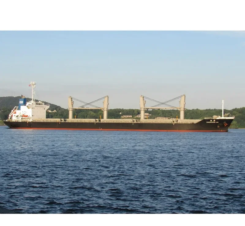 DANCEWOOD SW Bulk Carrier IMO 9639672 photo 5